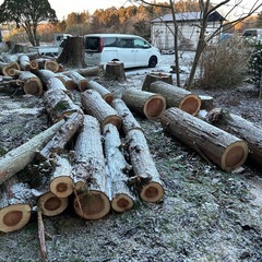 【宮城県現地のみ
】早い者勝ち！ 暖炉焚き火に最適！丸太の画像