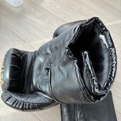 venum ボクシンググローブ　12orzの画像