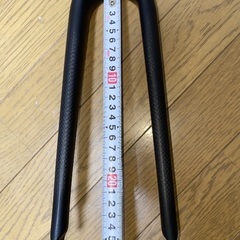 20インチ451のフルカーボンフォーク(1-1/8)の画像