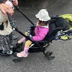 両対面ベビーカーとステップボードの画像