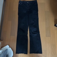 23パンツレディースセットの画像