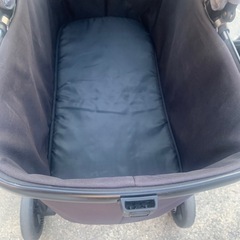 軽くて押しやすいペットカートの画像