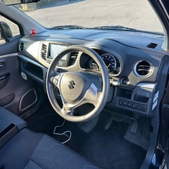 スティングレー　の画像