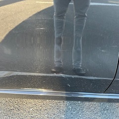 スティングレー　の画像