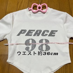 ロゴ入り ホワイト ショート丈 Tシャツ Mの画像