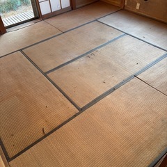 古畳16枚の画像