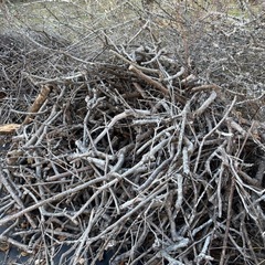 薪用にいかがですか。の画像