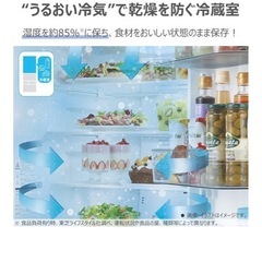 美品 TOSHIBA GR-Y510FZ 冷蔵庫 551L 2023年製の画像