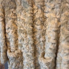 ⭕️新品未使用⭕️国内正規品シモネッタsimonetta152cm タグ値札付きの画像