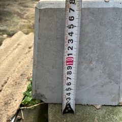 羽付ピンコロの画像