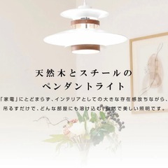 ペンダントライト 1灯 照明 照明器具 北欧の画像
