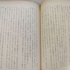 『39階段』ジョン・バカン　創元推理文庫の画像