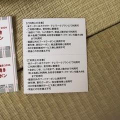 ビックエコー福袋2026の画像