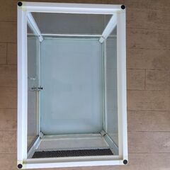 爬虫類　ゲージの画像