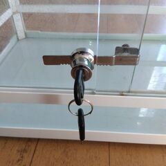 爬虫類　ゲージの画像