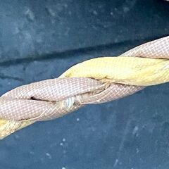 縄　ロープ　材質不明の画像