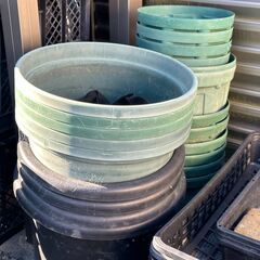 プランターさしあげますの画像