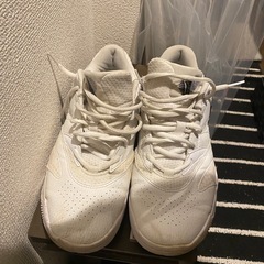 NIKE テニスシューズの画像