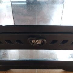 爬虫類　ゲージの画像