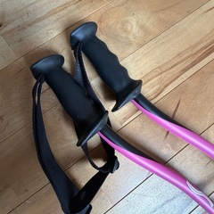 SCOTT スコット　 SL スキー　 ストック　ポール　 約125cmの画像