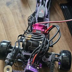 サクラD6パープルの画像