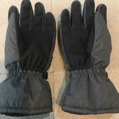 スノボグローブ2つの画像