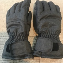 スノボグローブ2つの画像