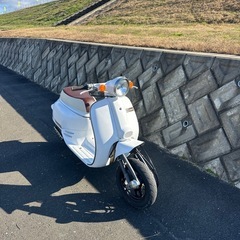 ホンダ ジョルノ af24 実働の画像