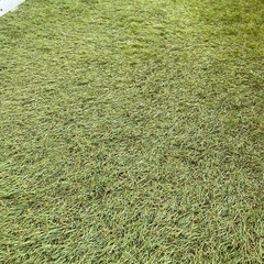 ベランダ用人工芝の画像