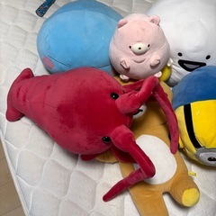 断捨離　ぬいぐるみの画像