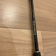SALTIGA 55B 3/4 リール　ダイワvalletta100 ジギングセットの画像