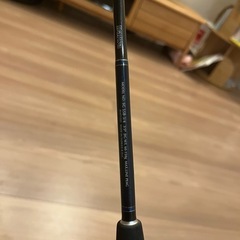 SALTIGA 55B 3/4 リール　ダイワvalletta100 ジギングセットの画像