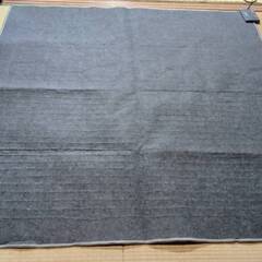 ホットカーペットの画像