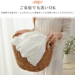 Confis ボックスシーツ シングル マイクロファイバー 冬用 抗菌 速乾 伸縮性 マットレスカバー ベッドカバー 通気性 防ダニ 快眠 無地 オールシーズン (アイボリー、シングル 100x200cm) の画像