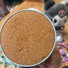 【ポチャッコ】ぴたっとふれんずの画像