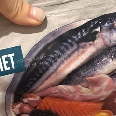 Orijen（オリジン）キャットフード 未開封／賞味期限2026年10月・11月の画像