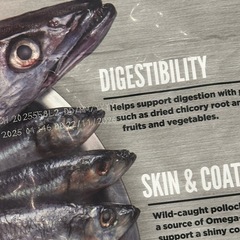 Orijen（オリジン）キャットフード 未開封／賞味期限2026年10月・11月の画像