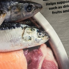 Orijen（オリジン）キャットフード 未開封／賞味期限2026年10月・11月の画像