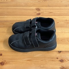 ディッキーズ　スニーカーの画像