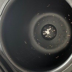 タイガー　炊飯器の画像