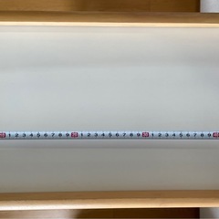 【猫飼い】【1月上旬までの掲載】子供服用ハンガーラックの画像