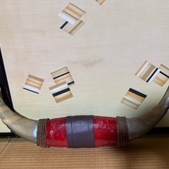 水牛の角　置物　飾り物の画像