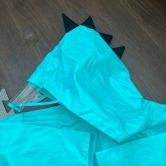 80-100サイズくらい　恐竜カッパの画像