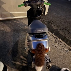 スーパーディオ af27 快速仕様の画像