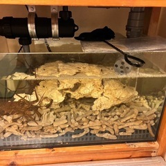 オーバーフロー水槽一式の画像