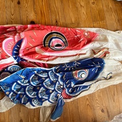 鯉のぼりの画像