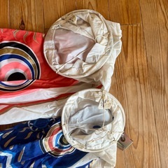 鯉のぼりの画像