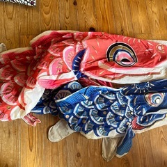 鯉のぼりの画像