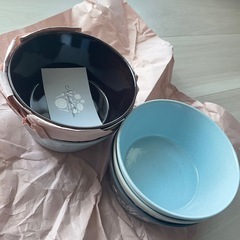 みのる陶器 美濃焼 PLANTAREE-ハリネズミ- 130パックボウル クリーム・水色・アメ 3色6個セット φ13.1×H5.9cmの画像