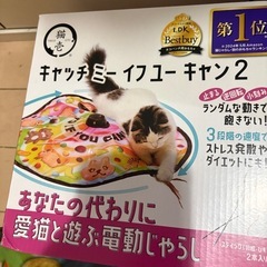 猫フード、おもちゃの画像